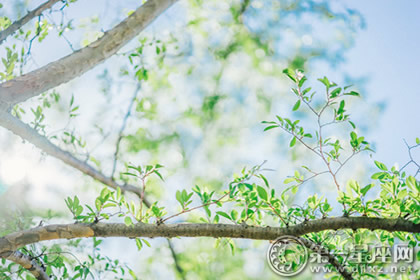 节气地理：夏至日太阳直射点坐标