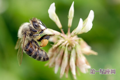 惊蛰是第几个节气